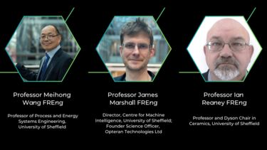Meihong Wang, James Marshall, Ian Reaney 