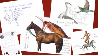 White comment cards compiled on a red background. Features collages of animals and handwritten notes about the event.