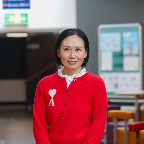 Profile picture of Staff photo - Ding Chen