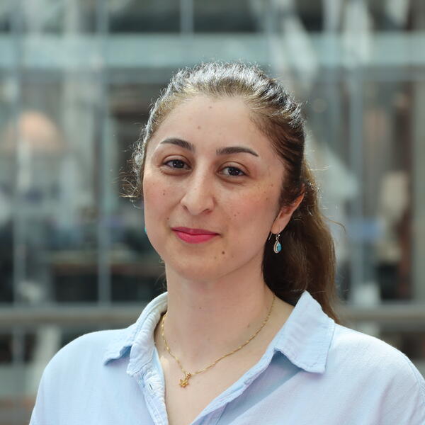 Profile picture of picture of Narges Azadvar
