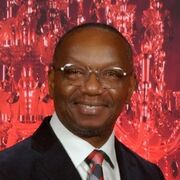 Professor Dilly Anumba