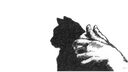 An illustration of someone making a shadow puppet of a cat with their hands