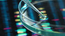 DNA samples in a Petri dish