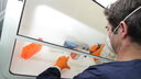 International Clinical Trials Day
