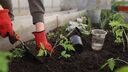 soil degradation the conversation