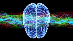 Human brain and waves, conceptual computer artwork.