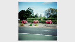 Jason Tilley photograph of Binley Road flowers