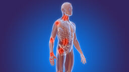 Graphical representation of human body and skeleton
