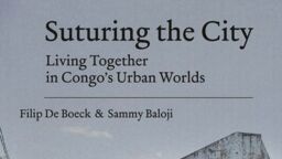 Book cover for Suturing the City