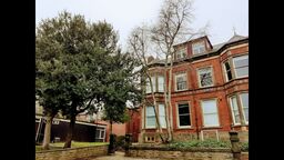 Three stem large mature tree in front of a University of Sheffield property 