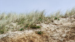 A student walking on a rocky hill.