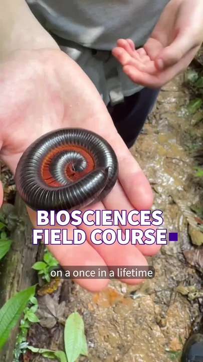 Student-led video from Malaysian Borneo field course