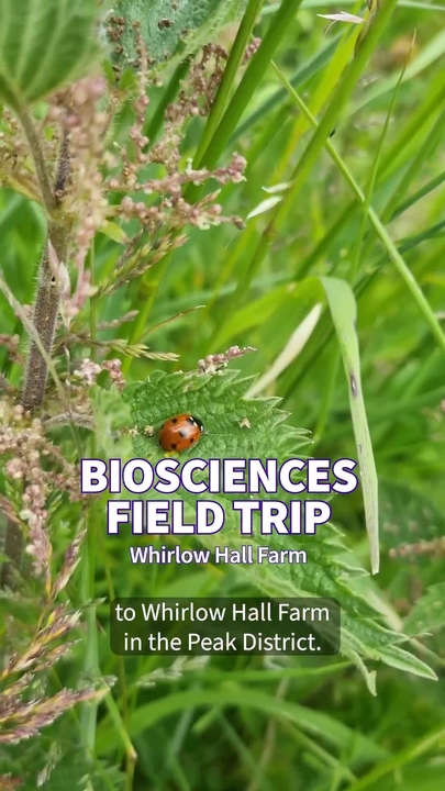 Student-led video at Whirlow Farm showing long grass